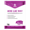 Acid lac way 2