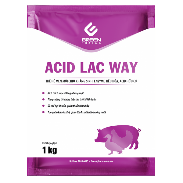 Acid lac way 2