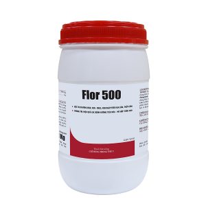 FLOR-500
