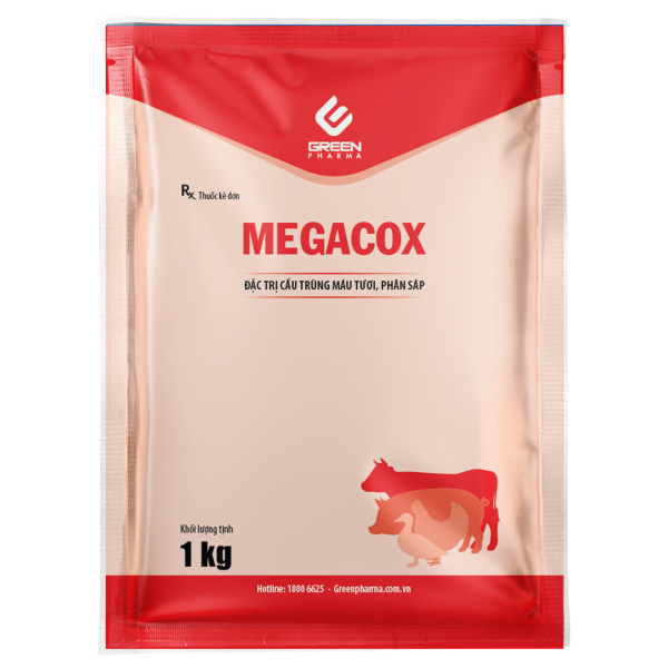 megacox 1
