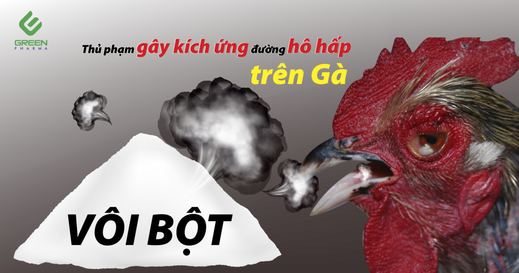 cach-khu-trung-chuong-trai-bang-voi-bot-2