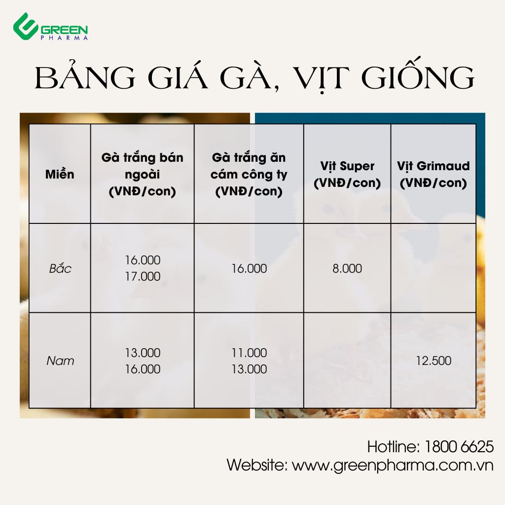 495789706 991859162990047 4518203793570773026 n