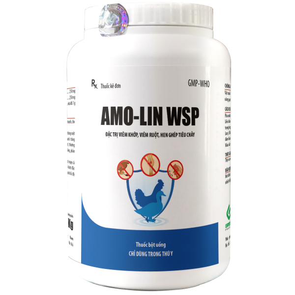 AMO-LIN WSP