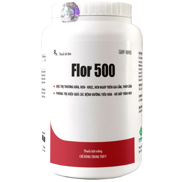 FLOR 500