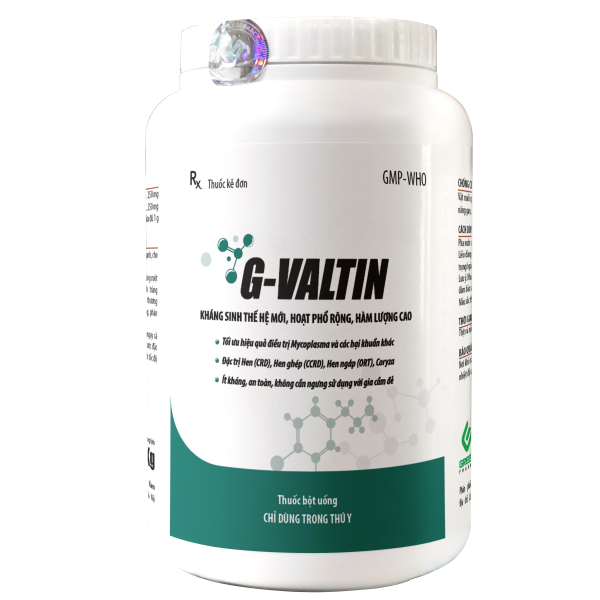 G-VALTIN