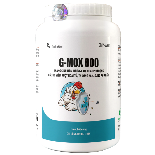 G-MOX 800