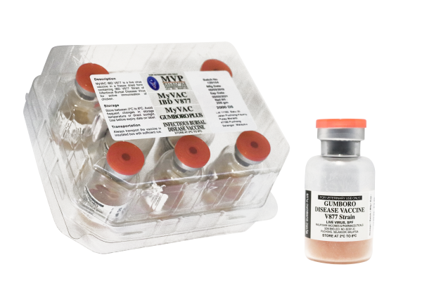 MYVAC GUMBORO PLUS - Hình ảnh 2