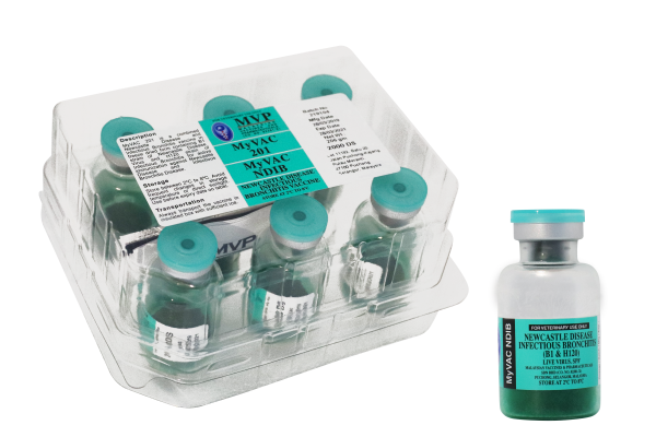 MYVAC ND - IB - Hình ảnh 2