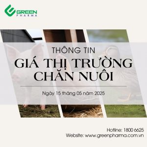 Pharma Ban tin thi truong chan nuoi form goc 1024 x 1024 px