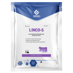 LINCO-S