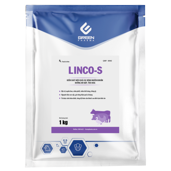LINCO-S