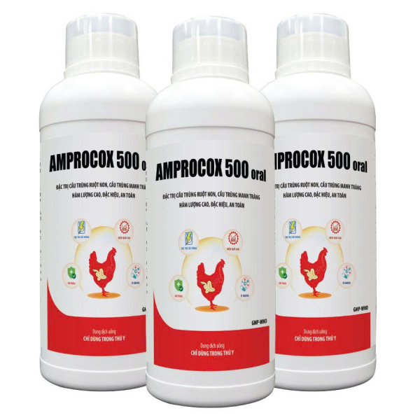AMPROCOX 500 ORAL