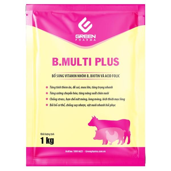B.MULTI PLUS
