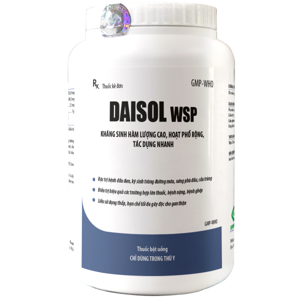 DAISOL WSP