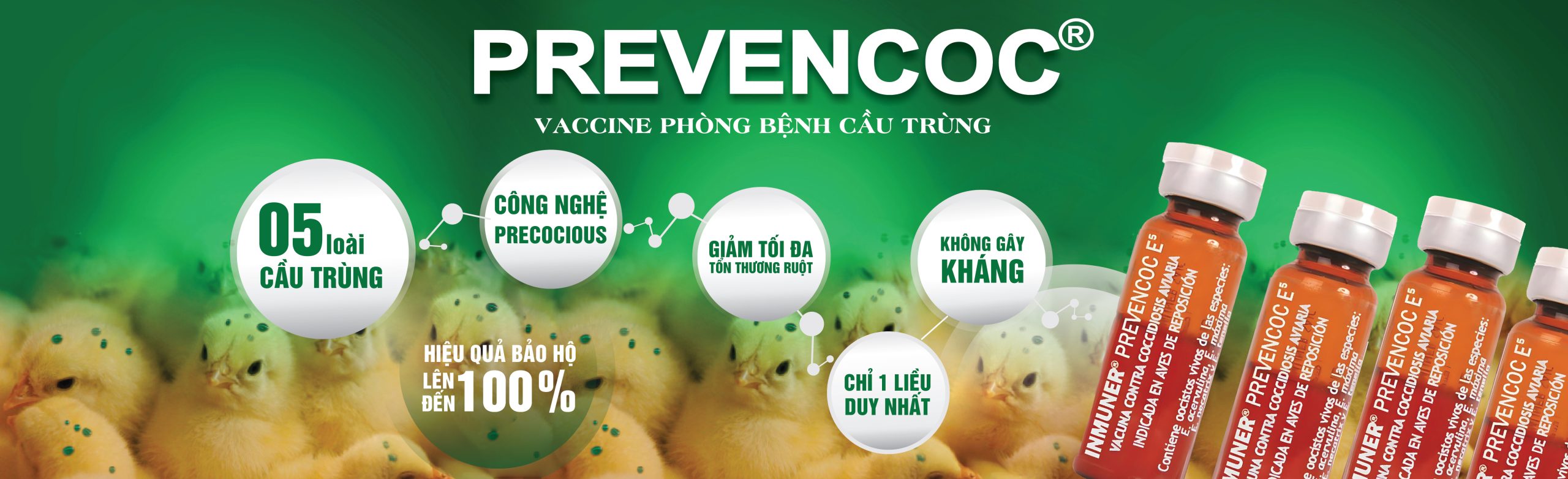 Prevencoc banner web-01 (1)