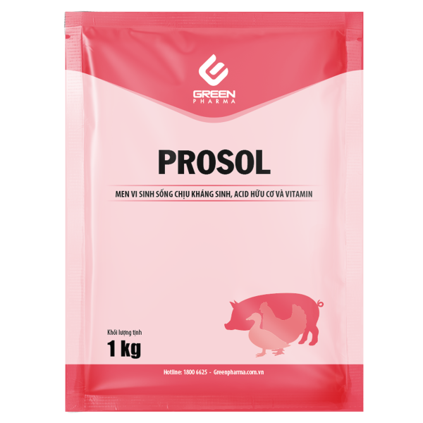 PROSOL
