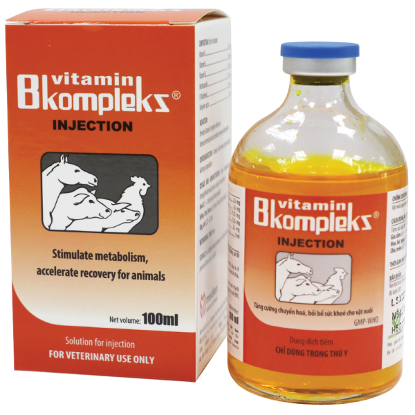 VITAMIN B KOMPLEKS