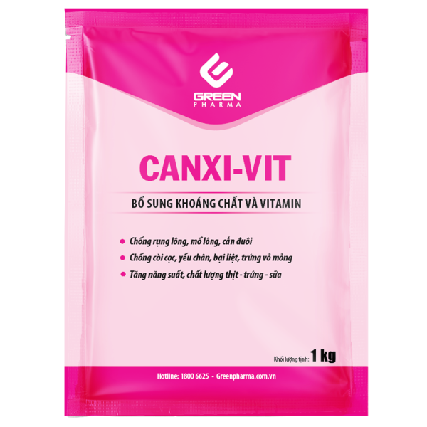 CANXI-VIT