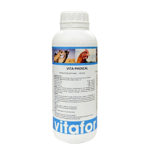 VITA-PHOSCAL