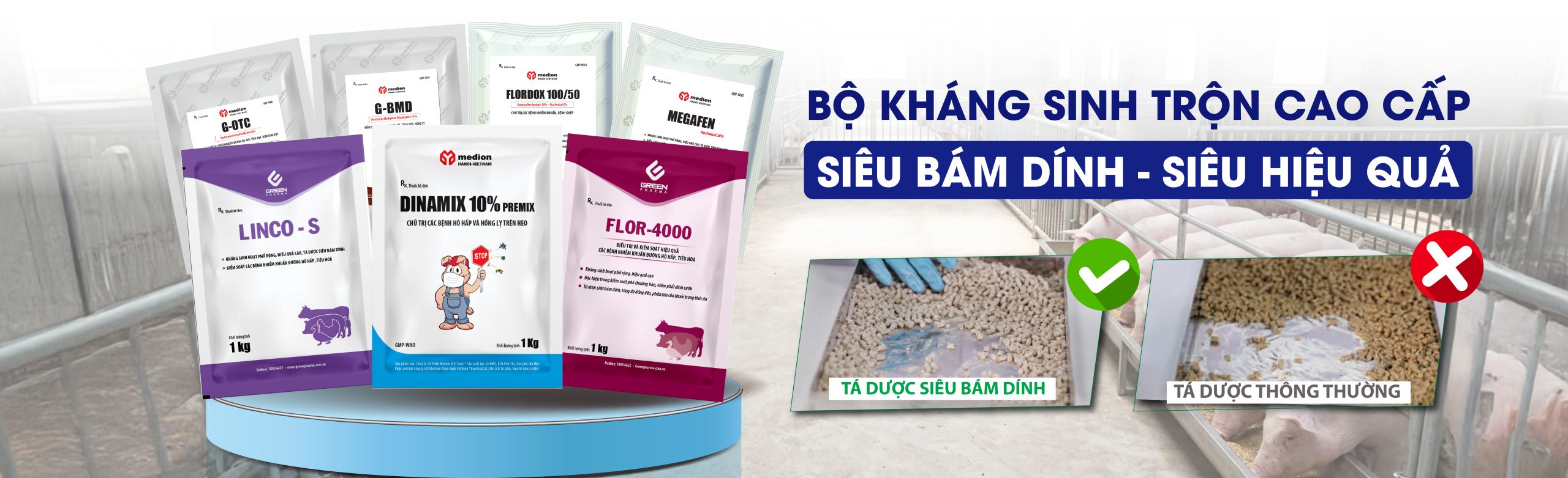 Bo khang sinh tron cao cap 2026 - 3-03-03