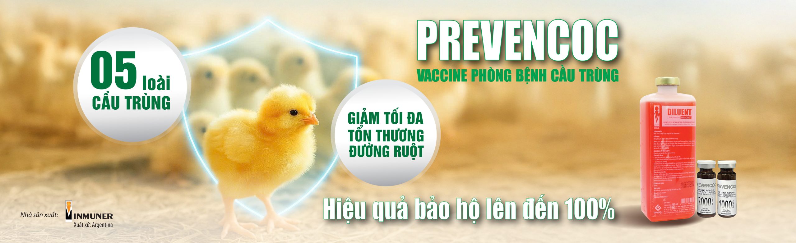 Prevencoc vaccine phong benh cau trung 3-03