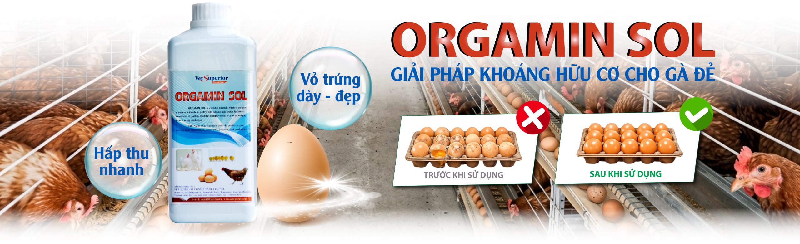 oragamin sol giai phap khoang3-03-03