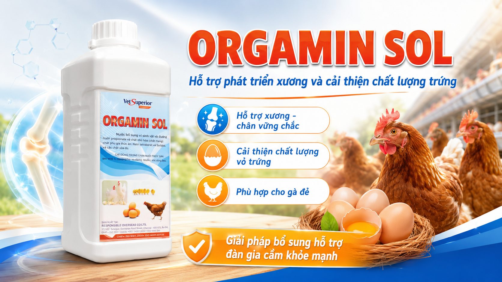 ORGAMIN SOL hỗ trợ phát triển xương và cải thiện chất lượng trứng
