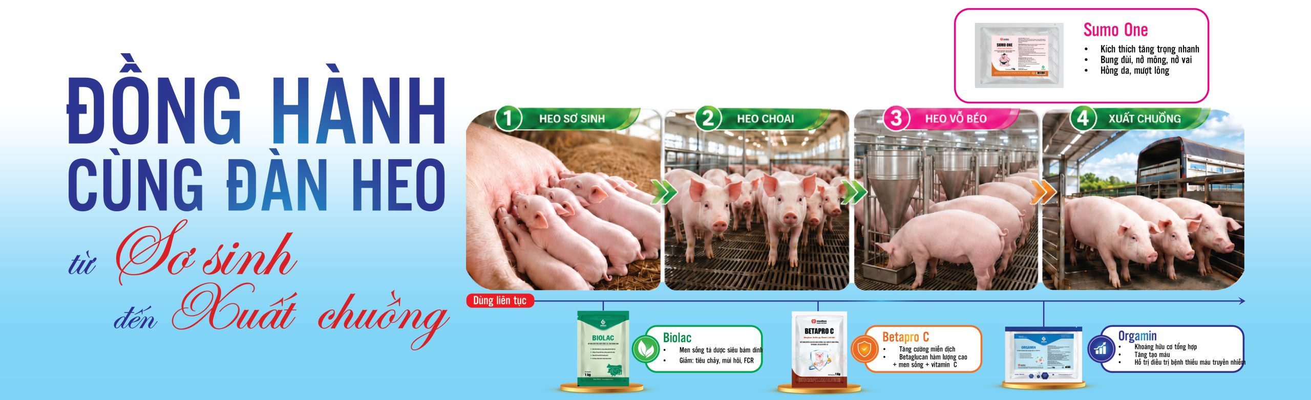 bo tro Pharma - web-04-04-04 (1)