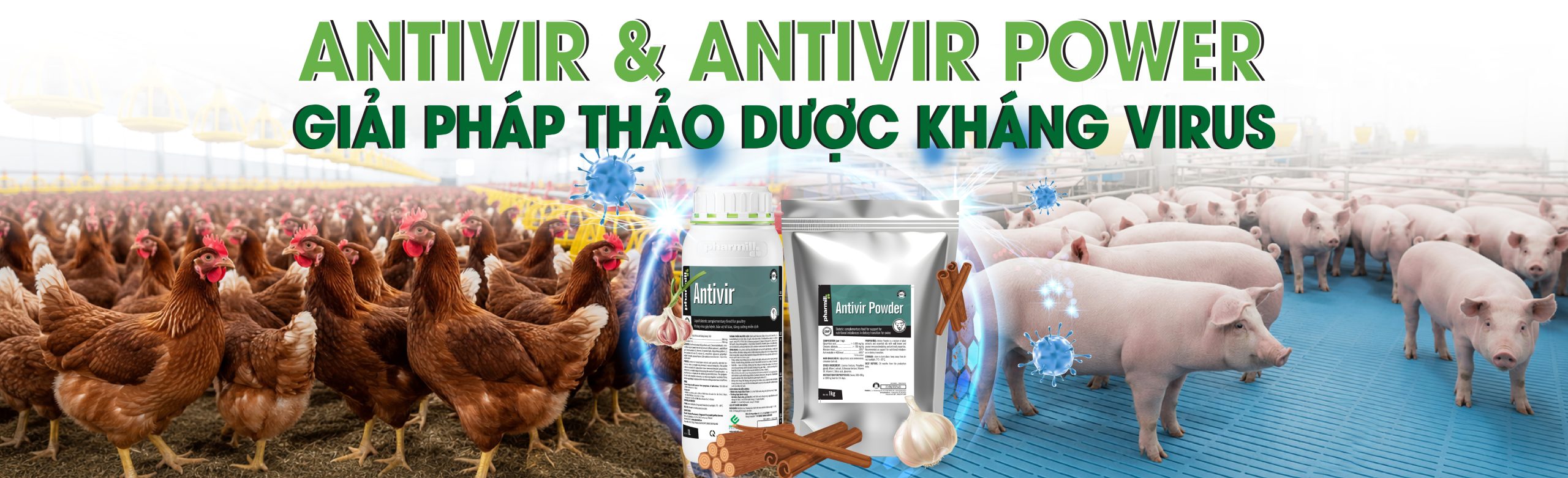 giai phap thao duoc khang virus - web-03