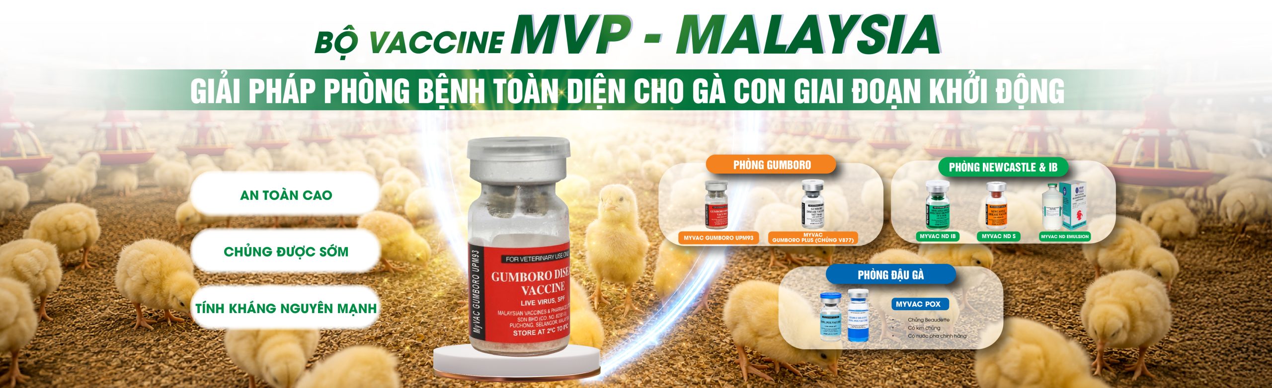 MVP giai phap phong benh web-03