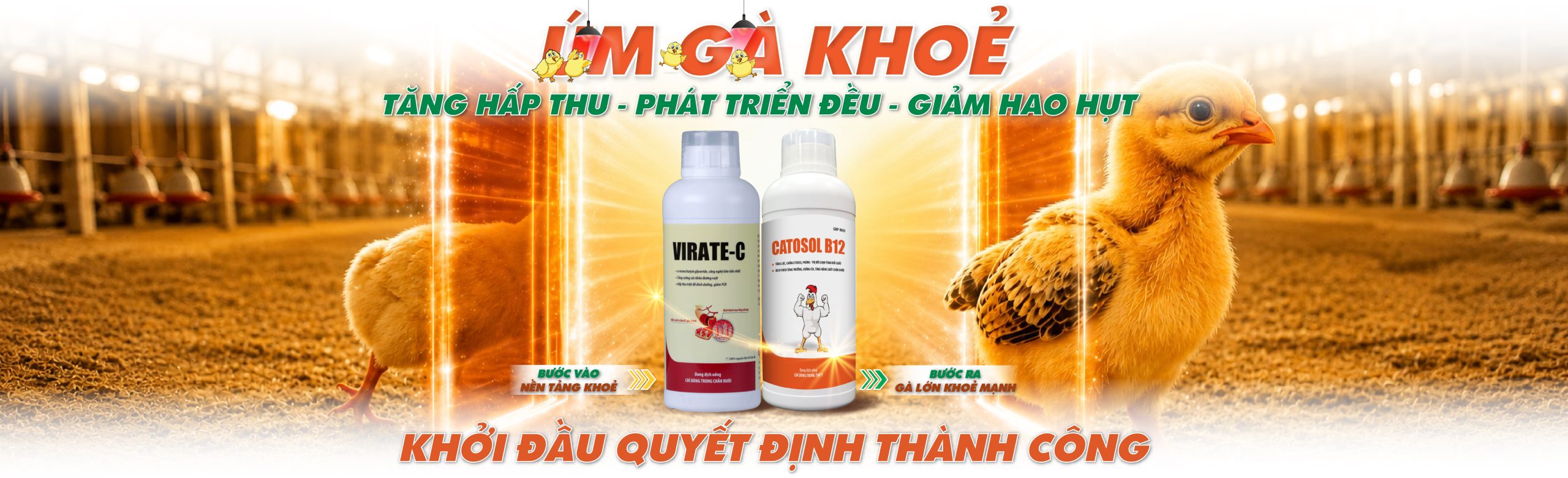 um ga khoe - web-04